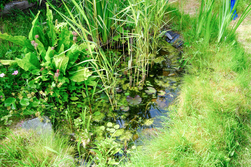 Moor Road Croston